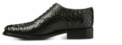 Tolosa - Elevator Shoes In Python Leather From 2.4 To 3.1 Inches 9 Tolosa - Elevator Shoes In Python Leather From 2.4 To 3.1 Inches -Deals Guidomaggi Store elevator shoes 3 37 11