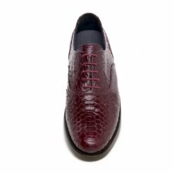 Red Sea - Elevator Shoes In Python Leather From 2.4 To 3.1 Inches 9 Red Sea - Elevator Shoes In Python Leather From 2.4 To 3.1 Inches -Deals Guidomaggi Store red sea luxury shoes